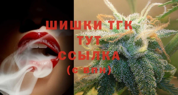 ГАЛЛЮЦИНОГЕННЫЕ ГРИБЫ Арсеньев