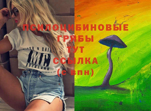 mdpv Армянск