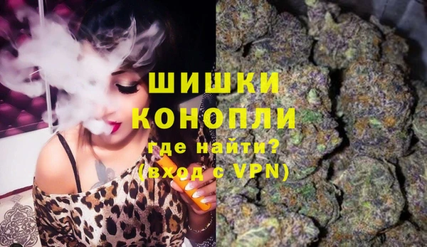 ГАЛЛЮЦИНОГЕННЫЕ ГРИБЫ Арсеньев