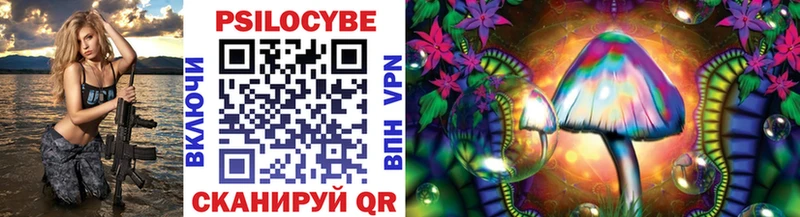 Галлюциногенные грибы Cubensis  как найти наркотики  Советск 
